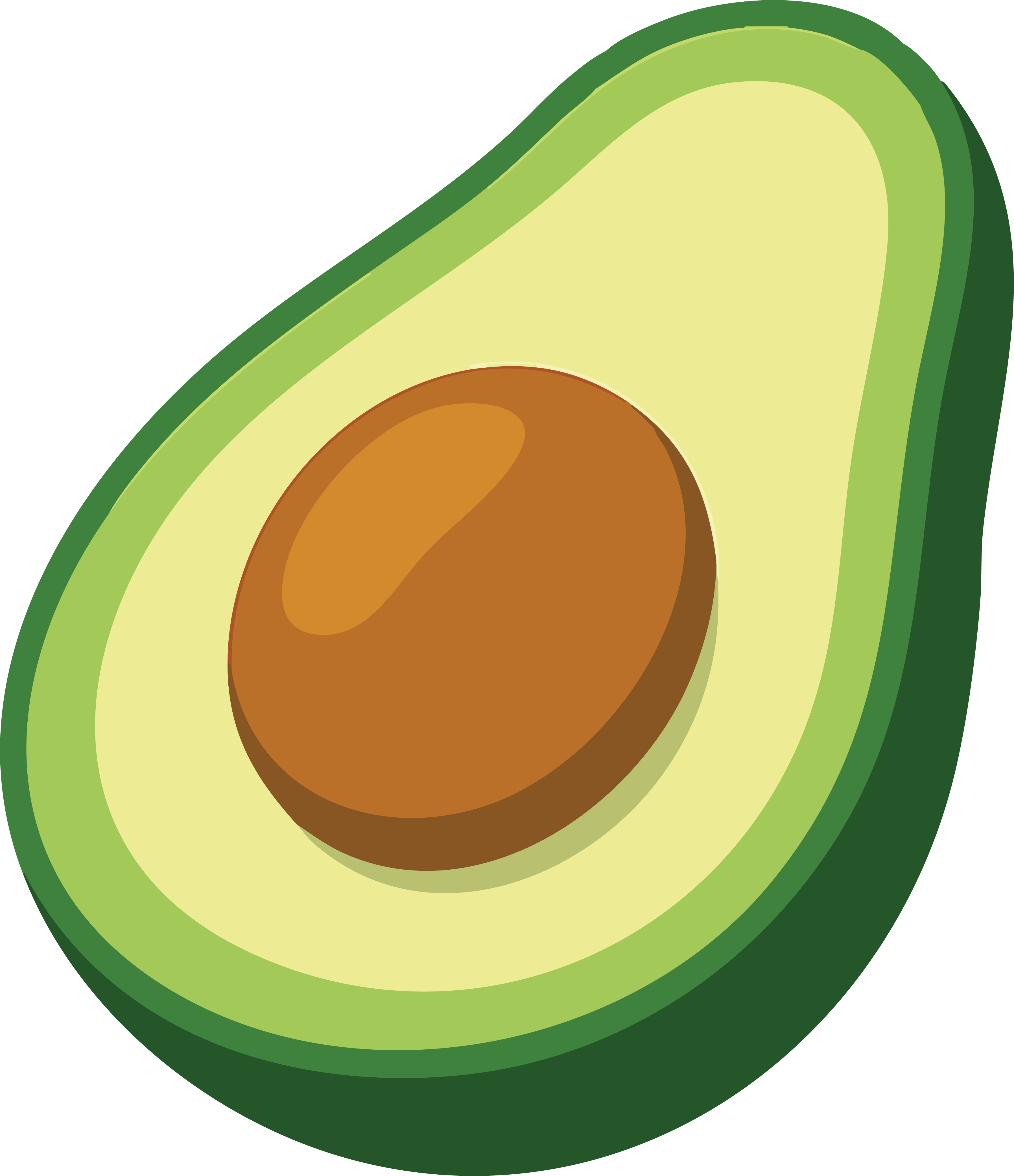 Avocado